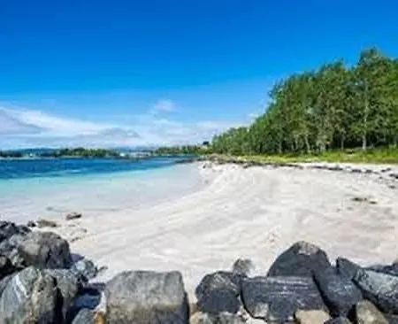 Leilighet Panoramic View & Comfort Ålesund